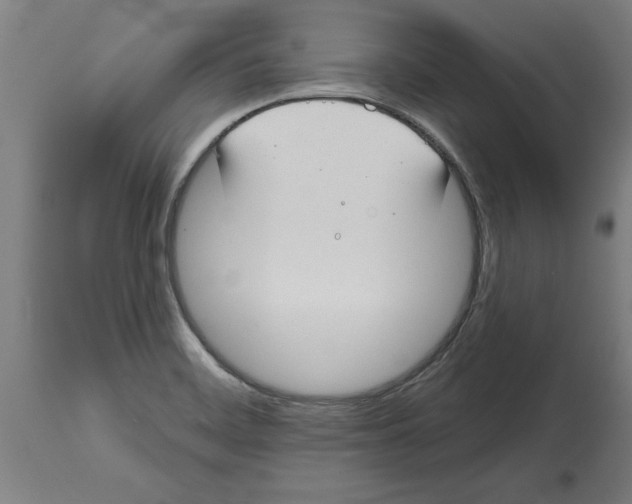 X0000114721468200911181353