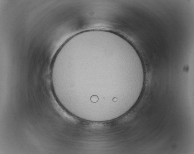 X0000114721470200911181353