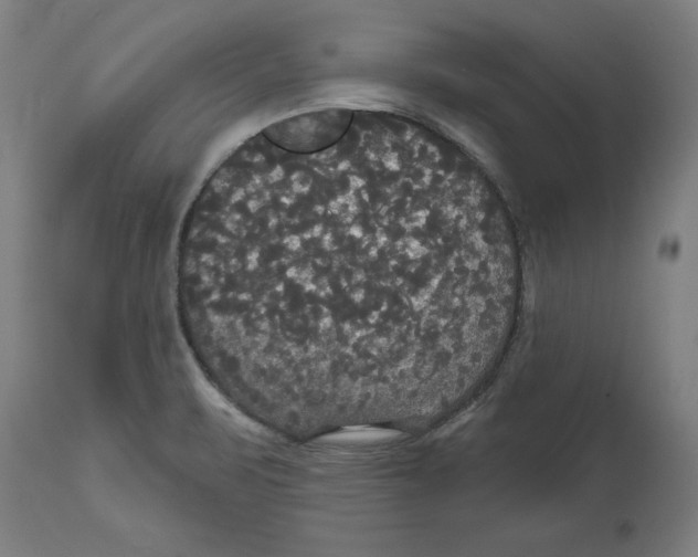 X0000114721471200911181353