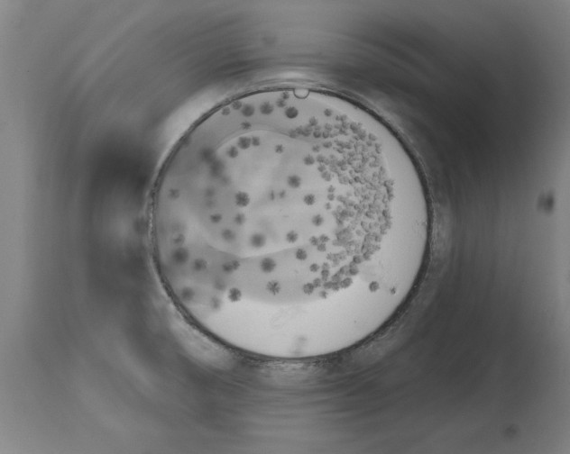 X0000114721474200911181353