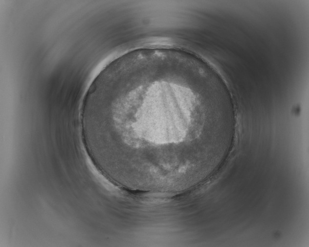 X0000114721475200911181353