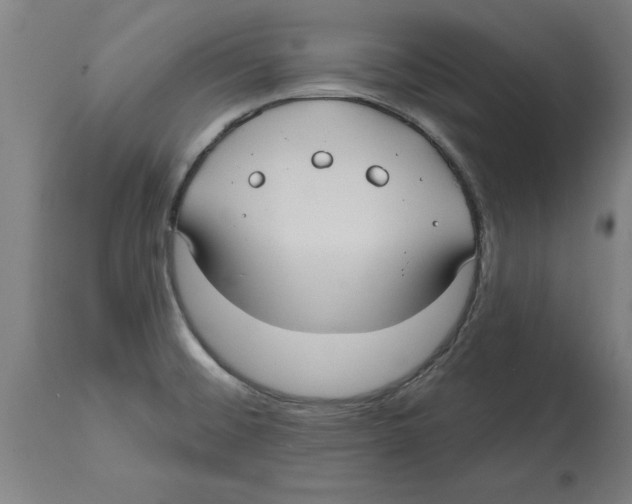 X0000114721476200911181353