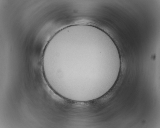 X0000114721478200911181353