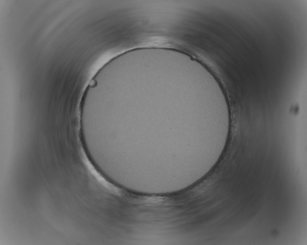 X0000114721479200911181353