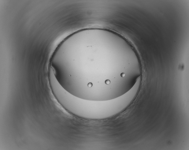 X0000114721480200911181353