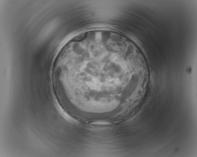 X0000114721482200911181353