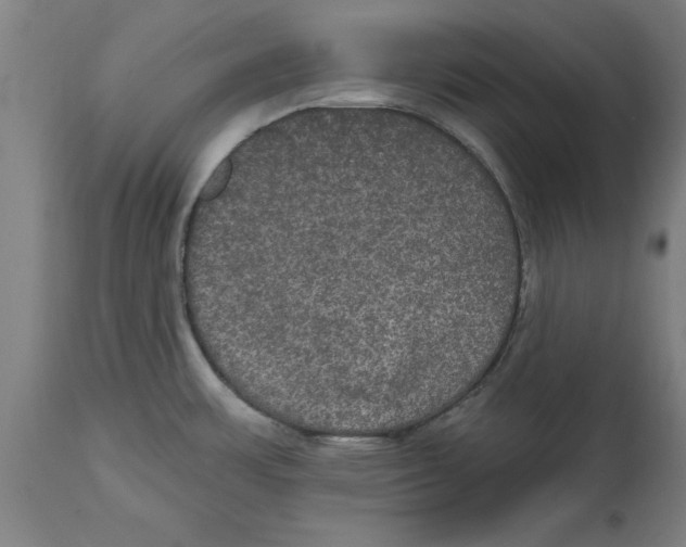 X0000114721483200911181353