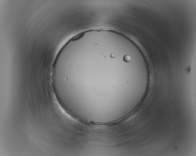 X0000114721484200911181352