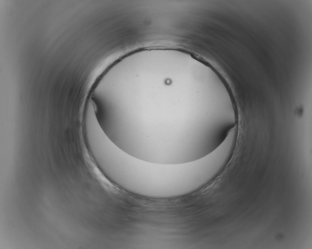 X0000114721485200911181352