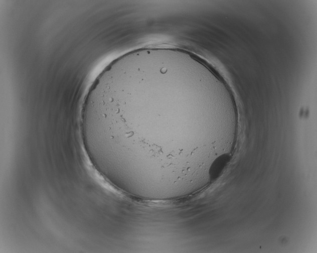 X0000114721488200911181352