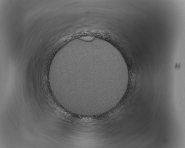 X0000114721489200911181352