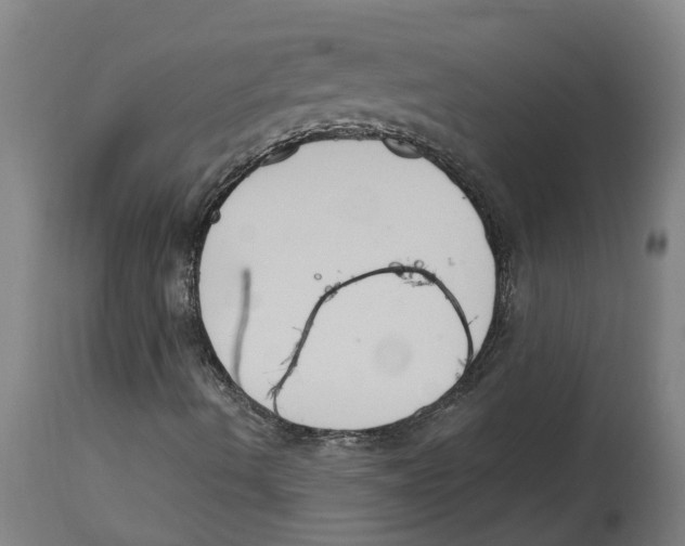 X0000114721490200911181352