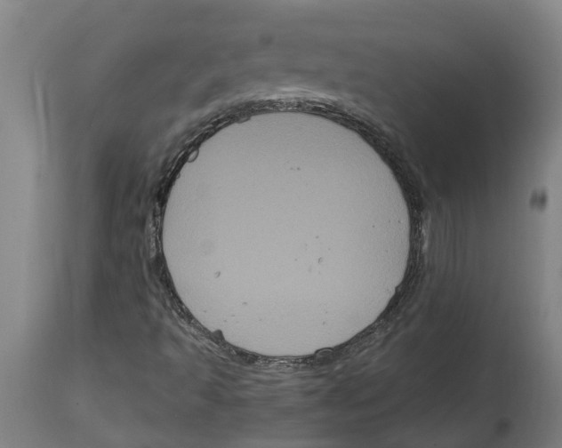 X0000114721493200911181352