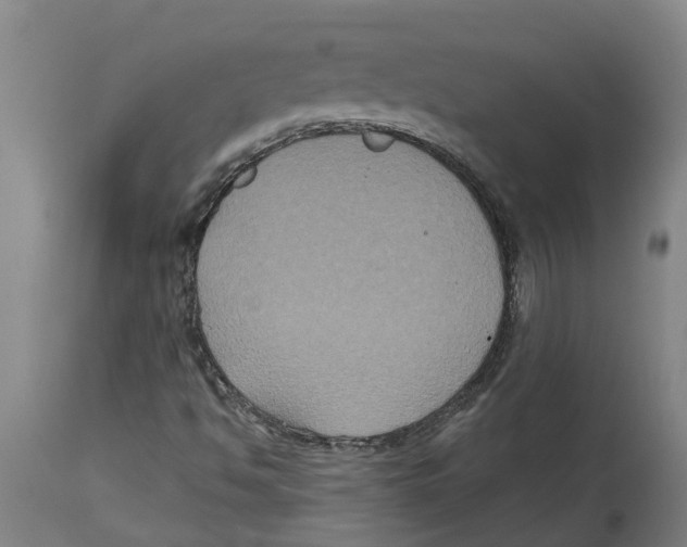 X0000114721494200911181352