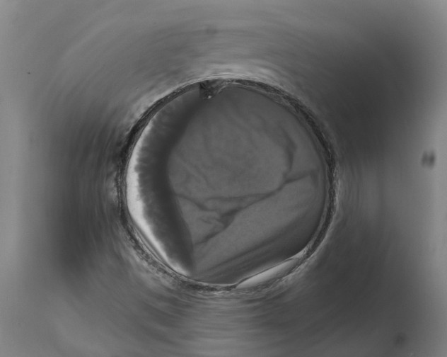 X0000114721497200911181352