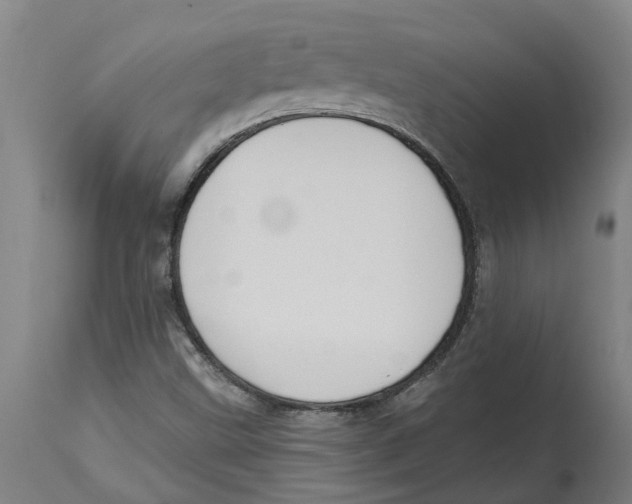 X0000114721499200911181352