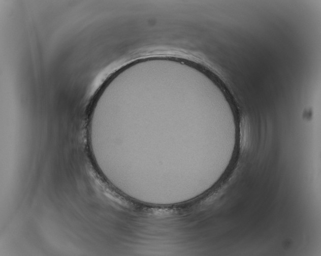 X0000114721501200911181352