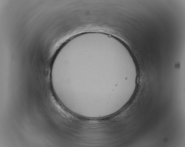 X0000114721507200911181352