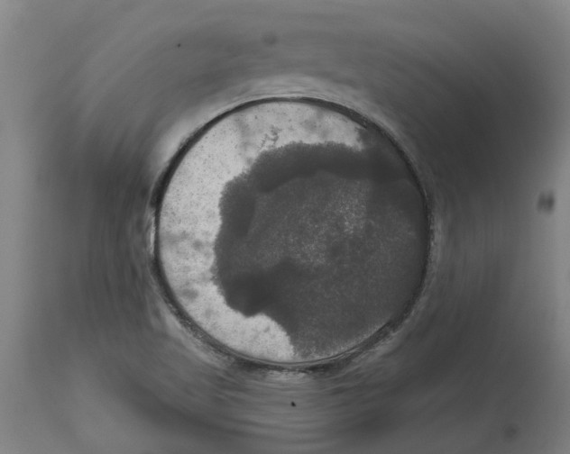 X0000114721509200911181352