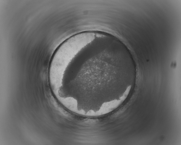 X0000114721513200911181352