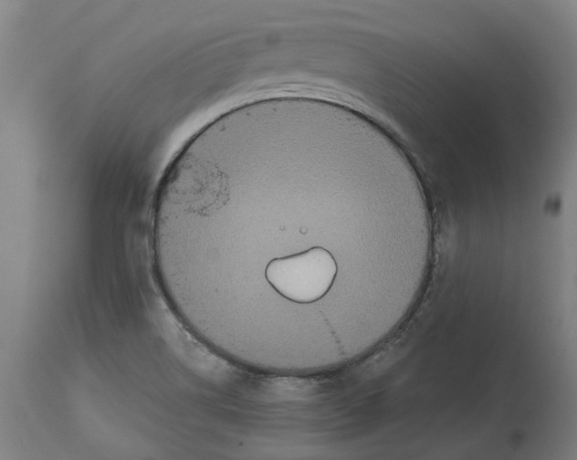 X0000114721514200911181352