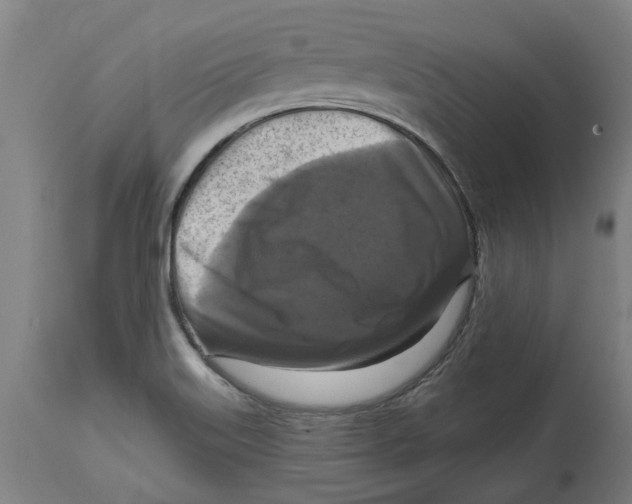 X0000114721515200911181352