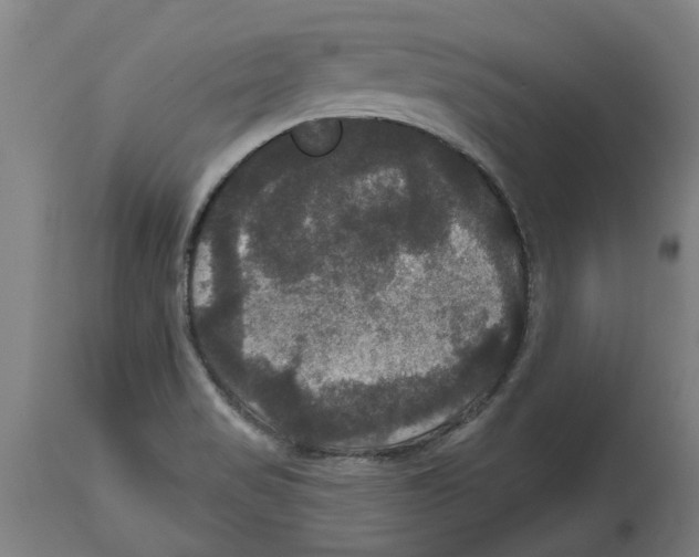 X0000114721517200911181352