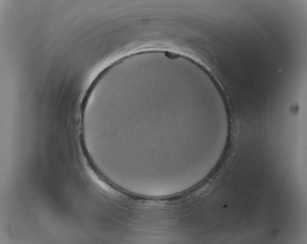 X0000114721519200911181352