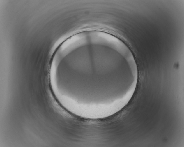 X0000114721522200911181352