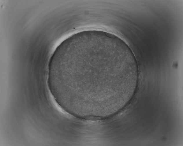 X0000114721523200911181352