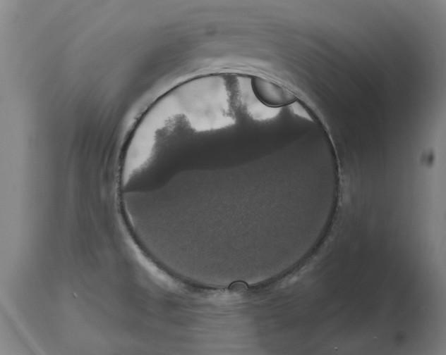 X0000114721525200911181352