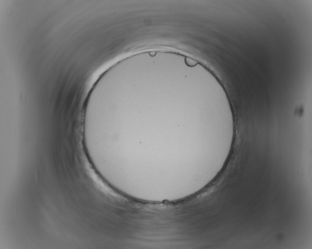 X0000114721526200911181352