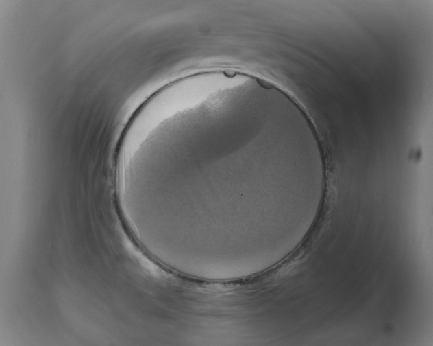 X0000114721527200911181352