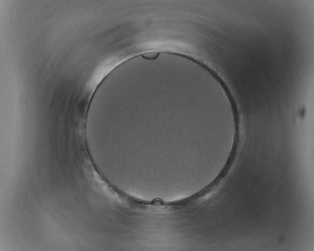 X0000114721529200911181352