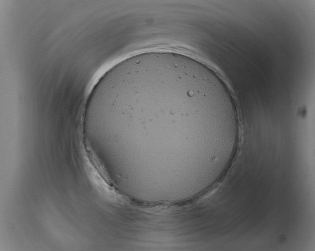 X0000114721530200911181352