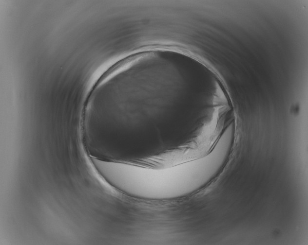 X0000114721533200911181352