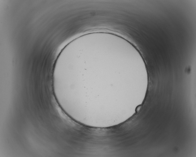 X0000114721534200911181352