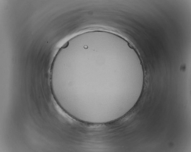 X0000114721535200911181352