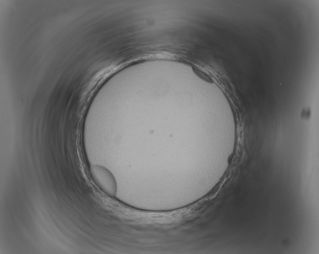 X0000114720001200912021205