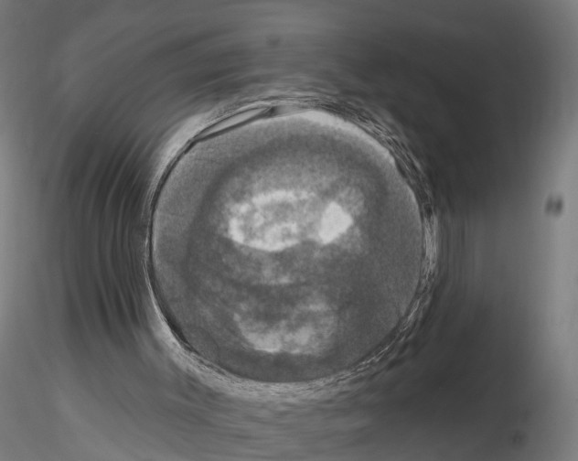 X0000114720003200912021205