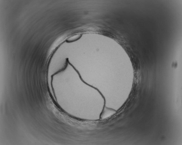 X0000114720004200912021205