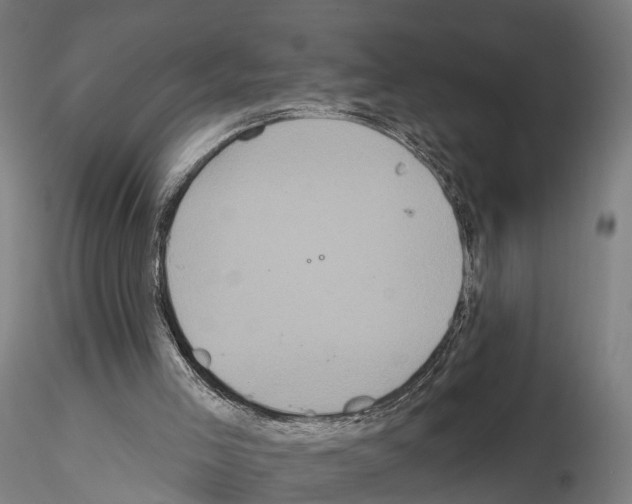 X0000114720005200912021205