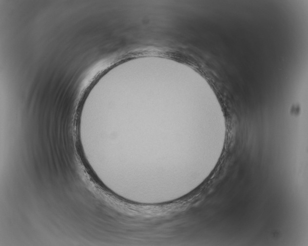 X0000114720006200912021205