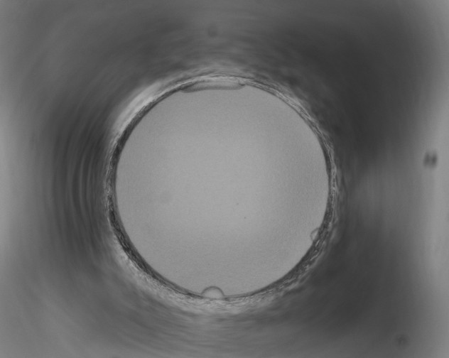 X0000114720007200912021205