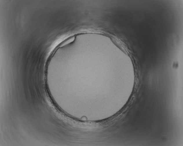 X0000114720008200912021205