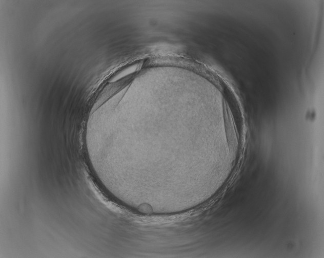 X0000114720009200912021205