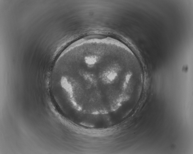 X0000114720010200912021205