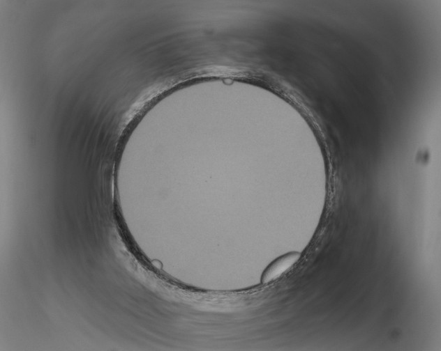 X0000114720011200912021205