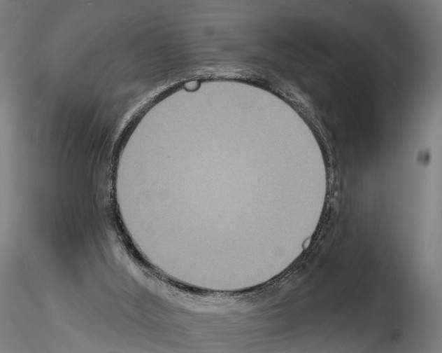 X0000114720012200912021205