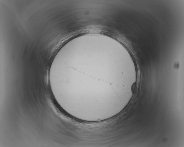 X0000114720013200912021205